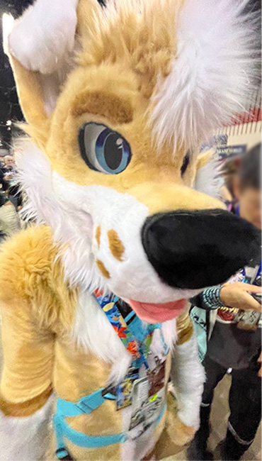 Reef 🏝️ 🔜 LVFC tweet media