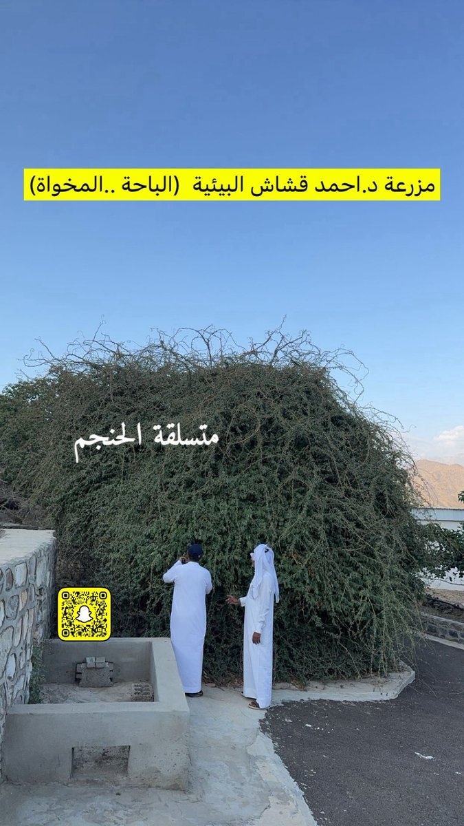 ابوعشق tweet media