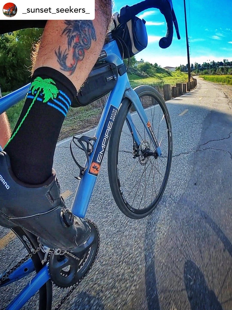 SockGuyLUV's tweet photo. Chasing miles &amp; palm tree vibes 🌴🧦 

📸 @_sunset_seekers_ https://t.co/gkDAZVyntk