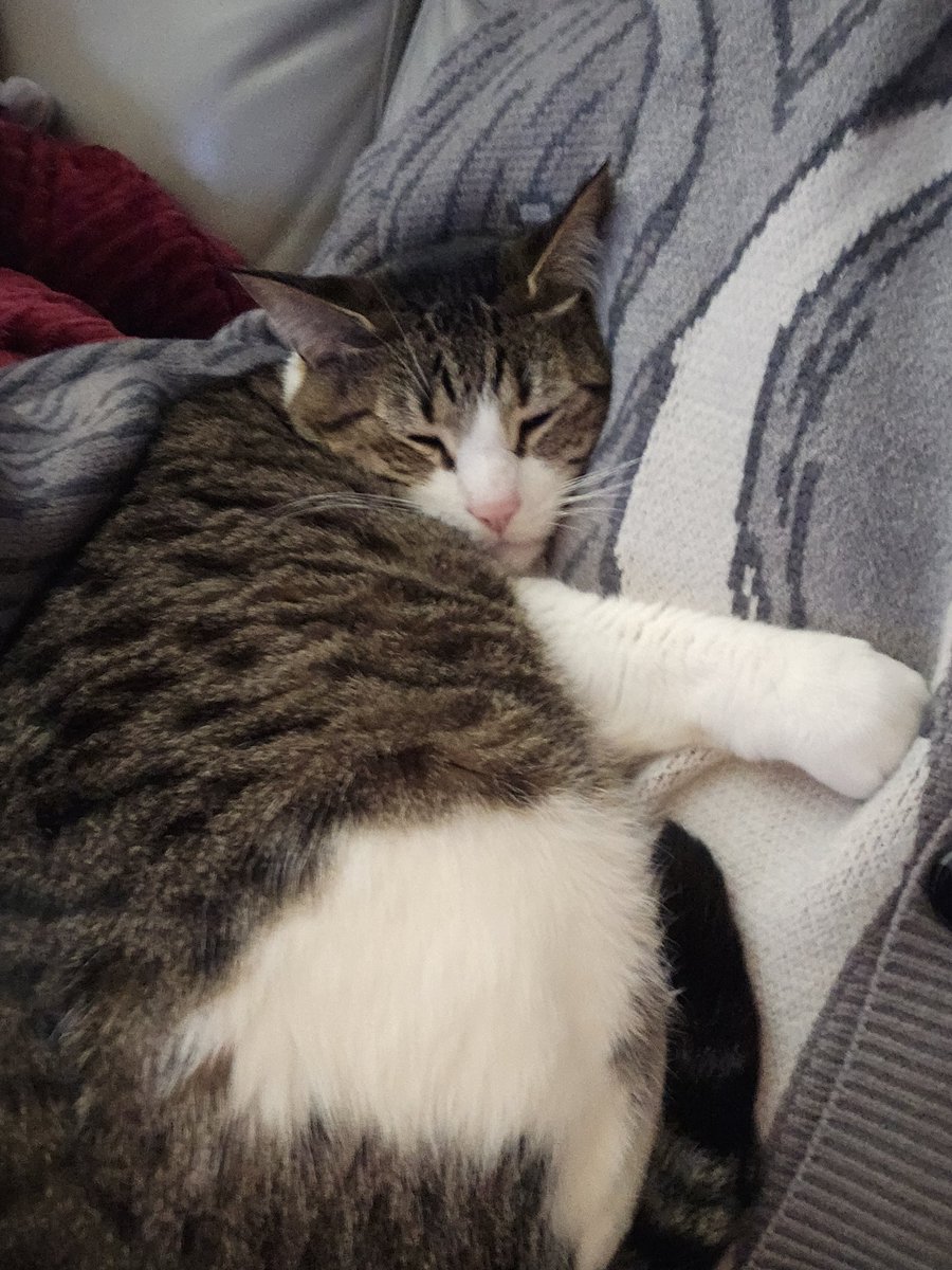 💚🐰Kyurii🐰💚 tweet media