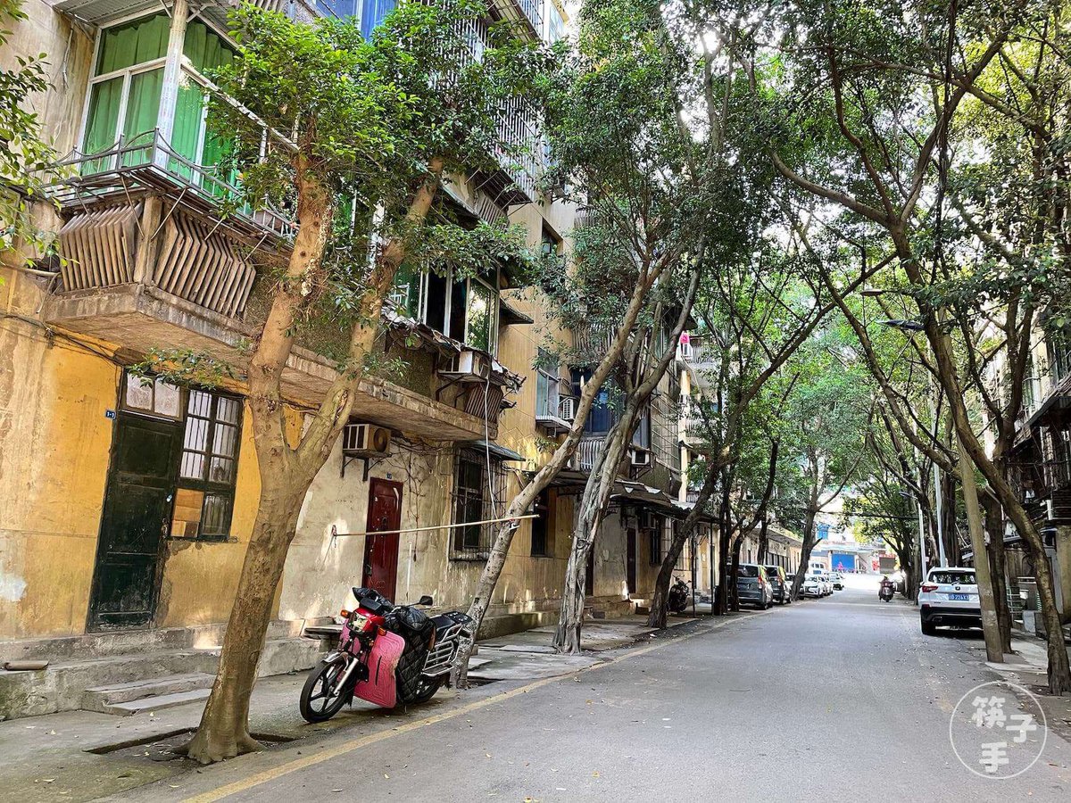 罗玉凤 tweet media