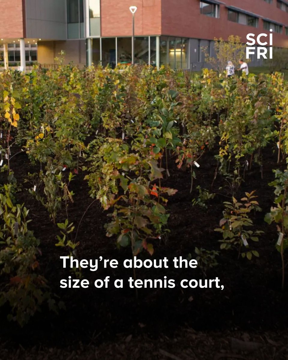 Science Friday tweet media