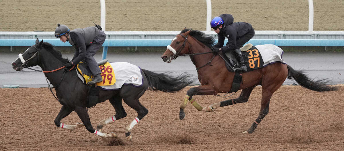 弥生賞ディープ記念】タイダルロック、不良馬場でも鋭伸ラスト1F11秒4