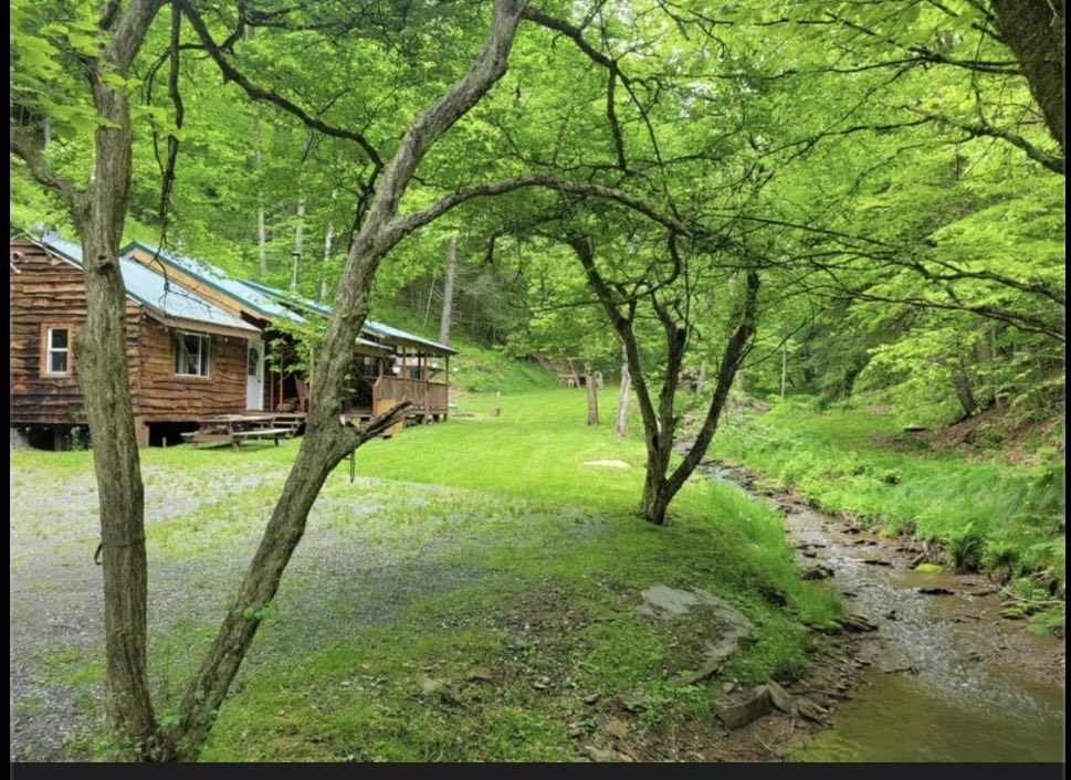 A. Mando tweet media