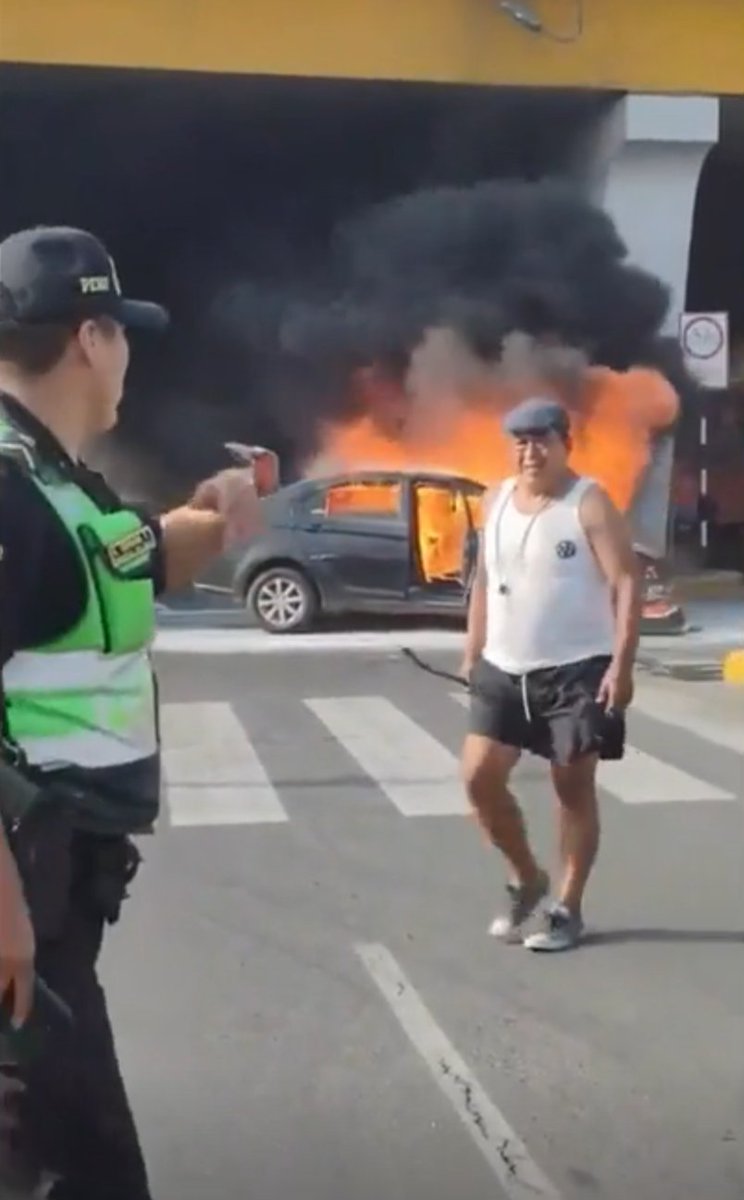 Diego Cerna Aragón (@dc-a.bsky.social) tweet media