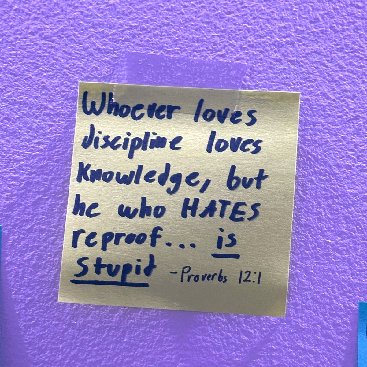 Lil Fish tweet media