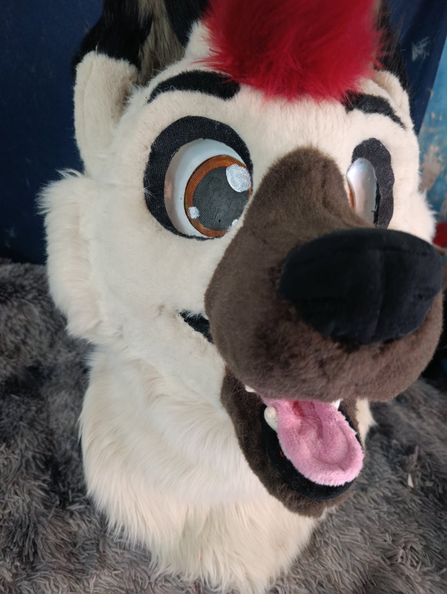 Snuggles fursuits tweet media