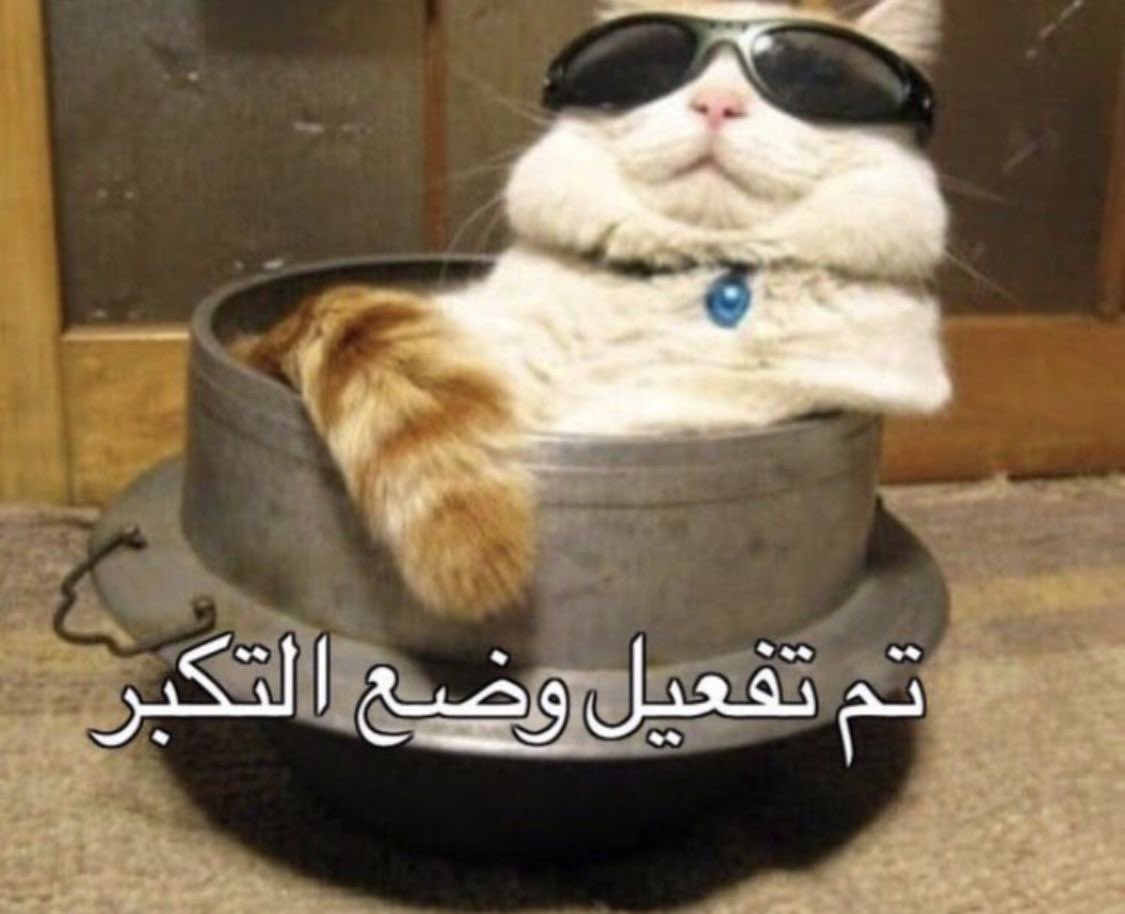 i2llax's tweet photo. @Rllllllv الله يحلي ايامج https://t.co/tMu0R1eaYu