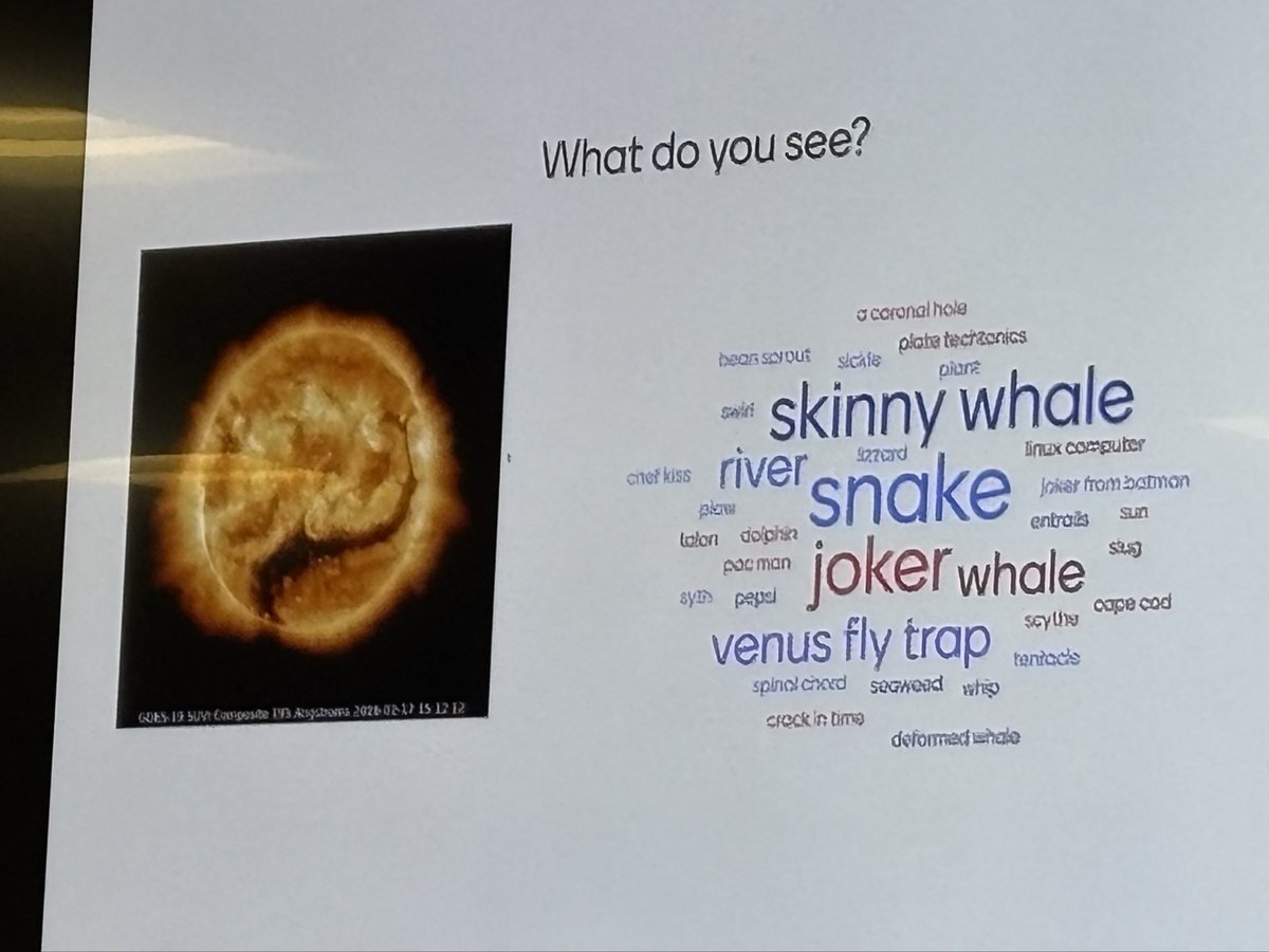 ☀️ Sara Housseal ☀️ tweet media