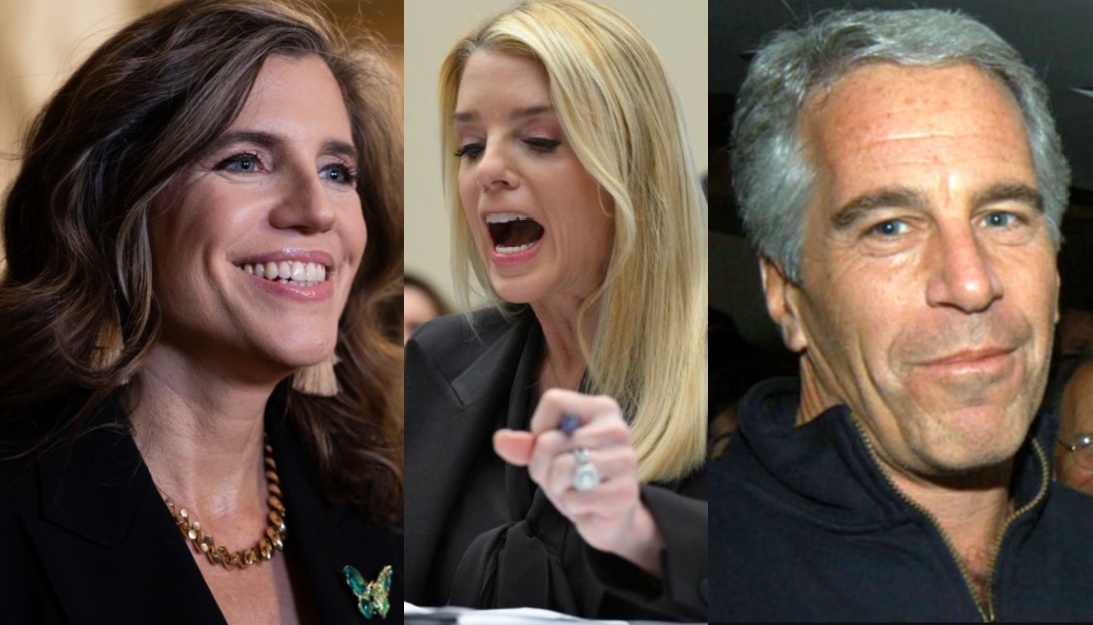 Occupy Democrats tweet media