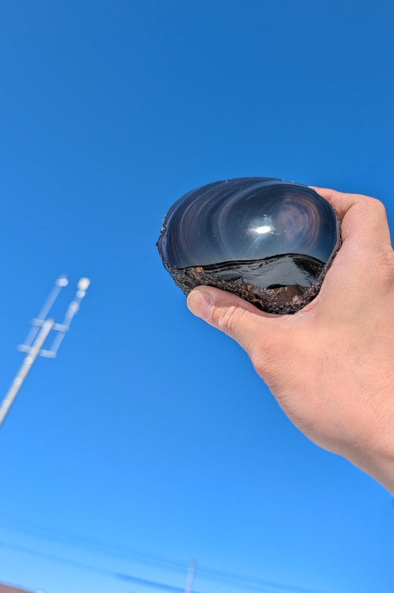 玲瓏石🌌 (@reiro369) / Posts / X