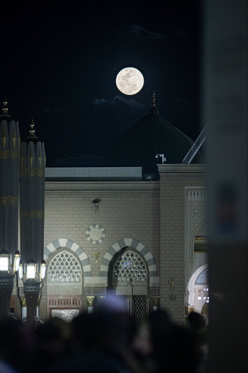 المدينة لايف🕌 tweet media