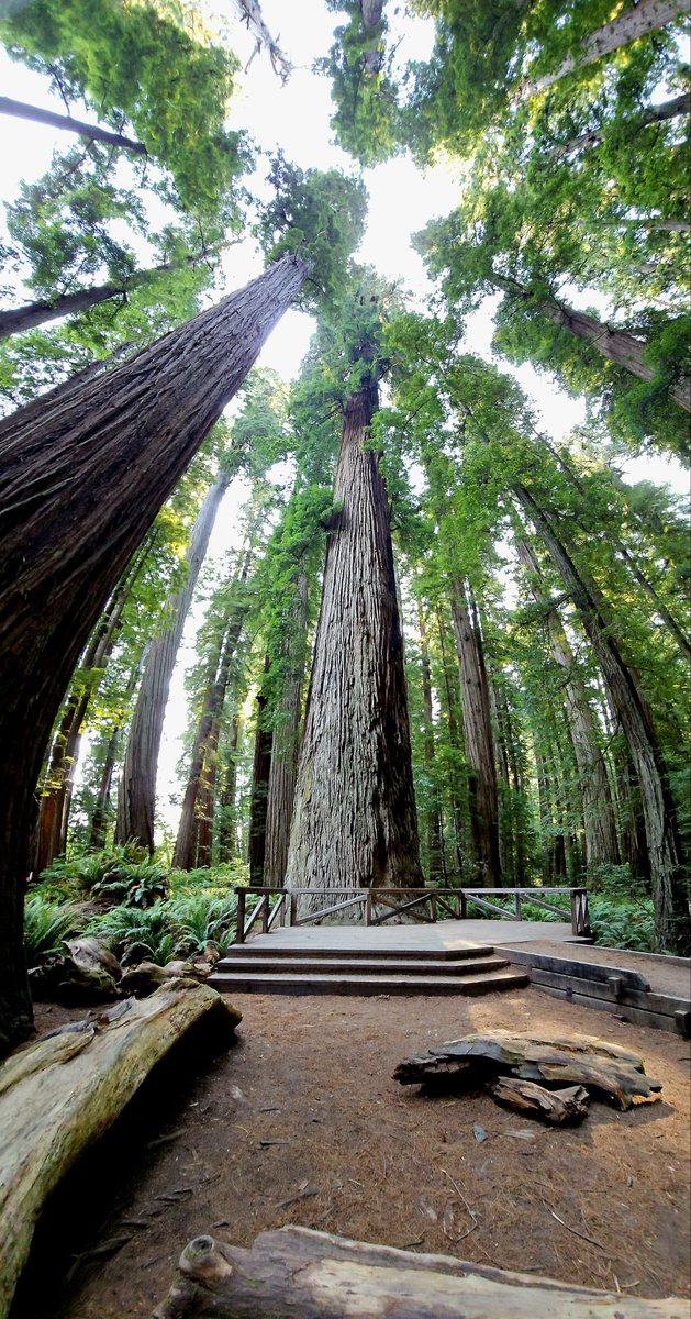 Ray Clothier tweet media