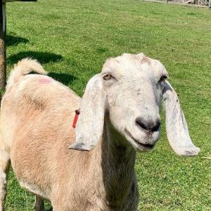 Bro Teddy tweet media