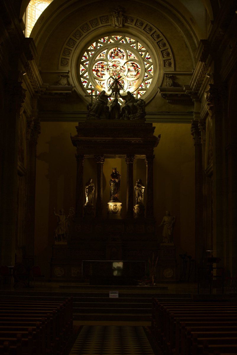 Aya of the Alps tweet media