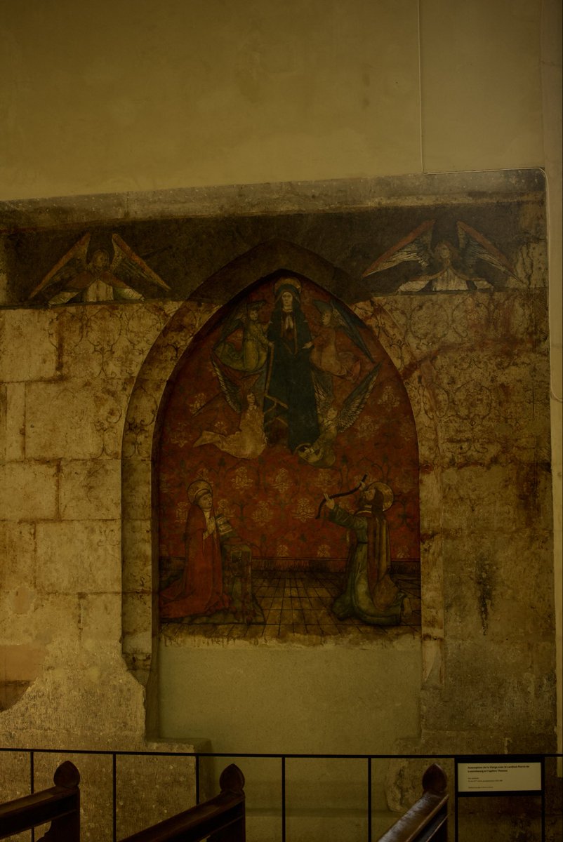 Aya of the Alps tweet media