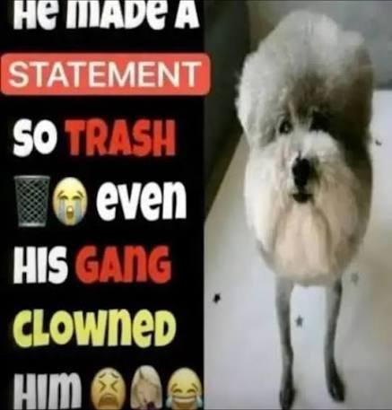 𑣲Peep tweet media