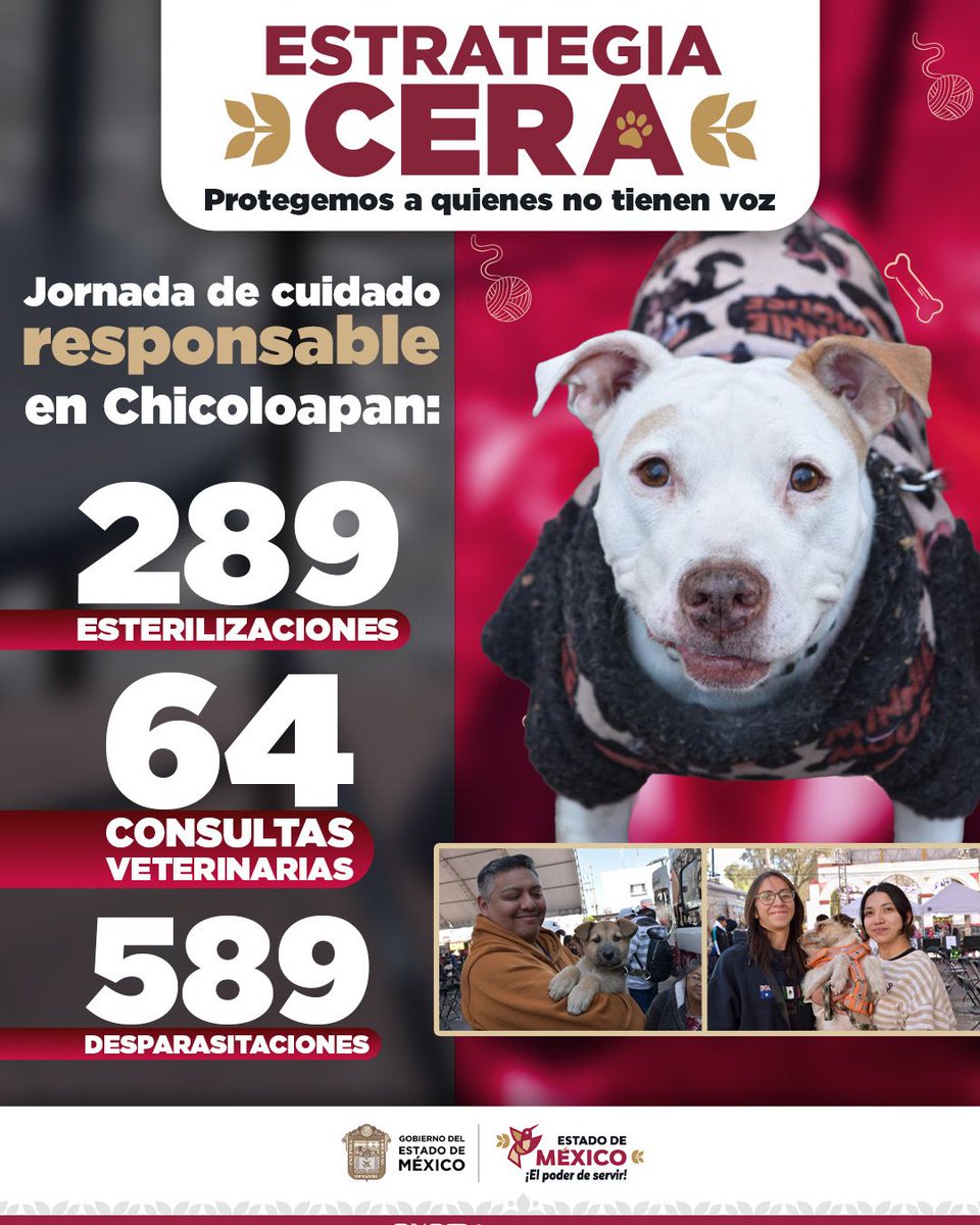 Edomex's tweet image. 🐾❤️ A través de la estrategia CERA, realizamos 289 esterilizaciones gratuitas para perros y gatos en #Chicoloapan. Con estas acciones de la @Cepanaf, fortalecemos la tutela responsable en el #EdoMex. 🐶🐱✨
​#ElPoderDeServir