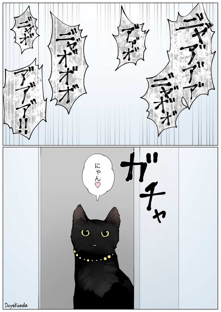 最近の猫様まじこれ