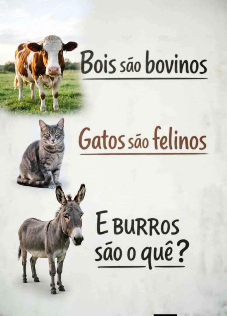 Prof. Paullo tweet media