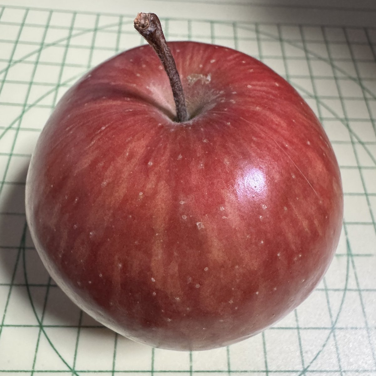 Post by みょりろ ⊘ on X: りんご