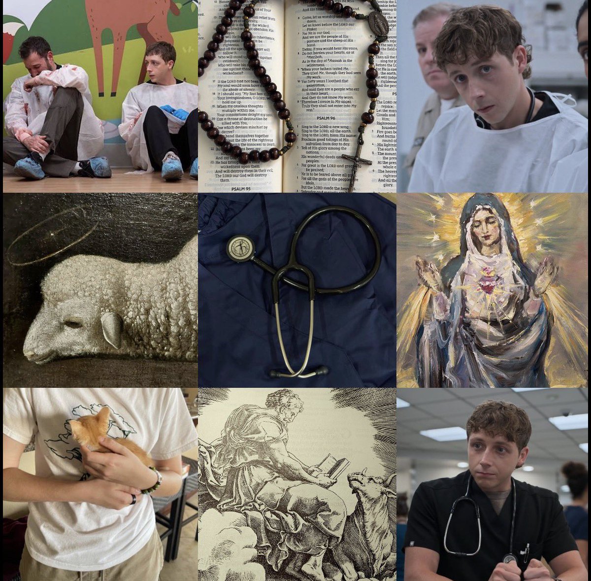 andy 🐈‍⬛ tweet media