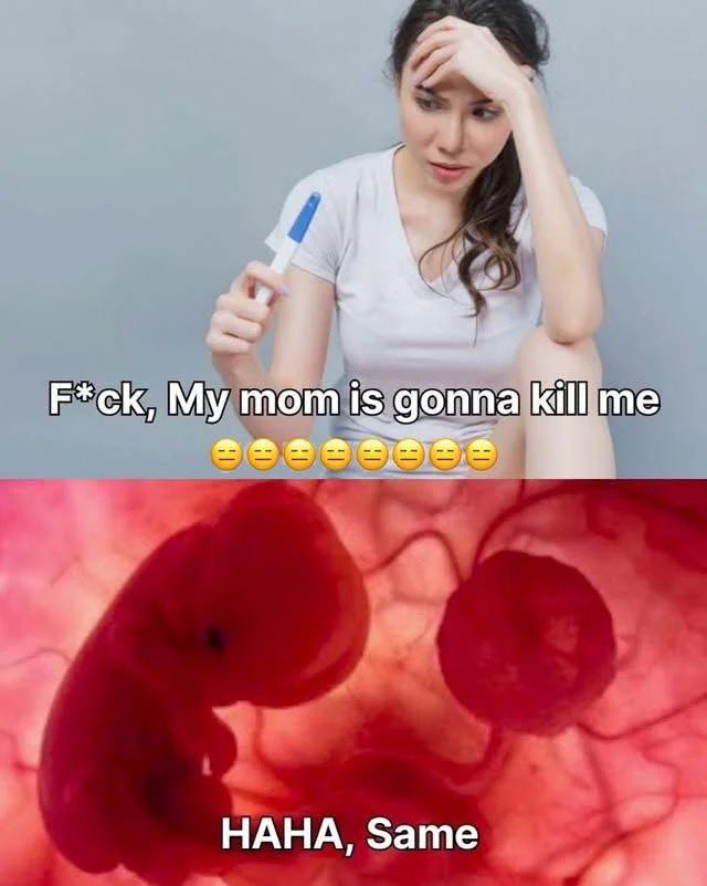 NO CONTEXT HUMANS (@humansnocontext) on Twitter photo 