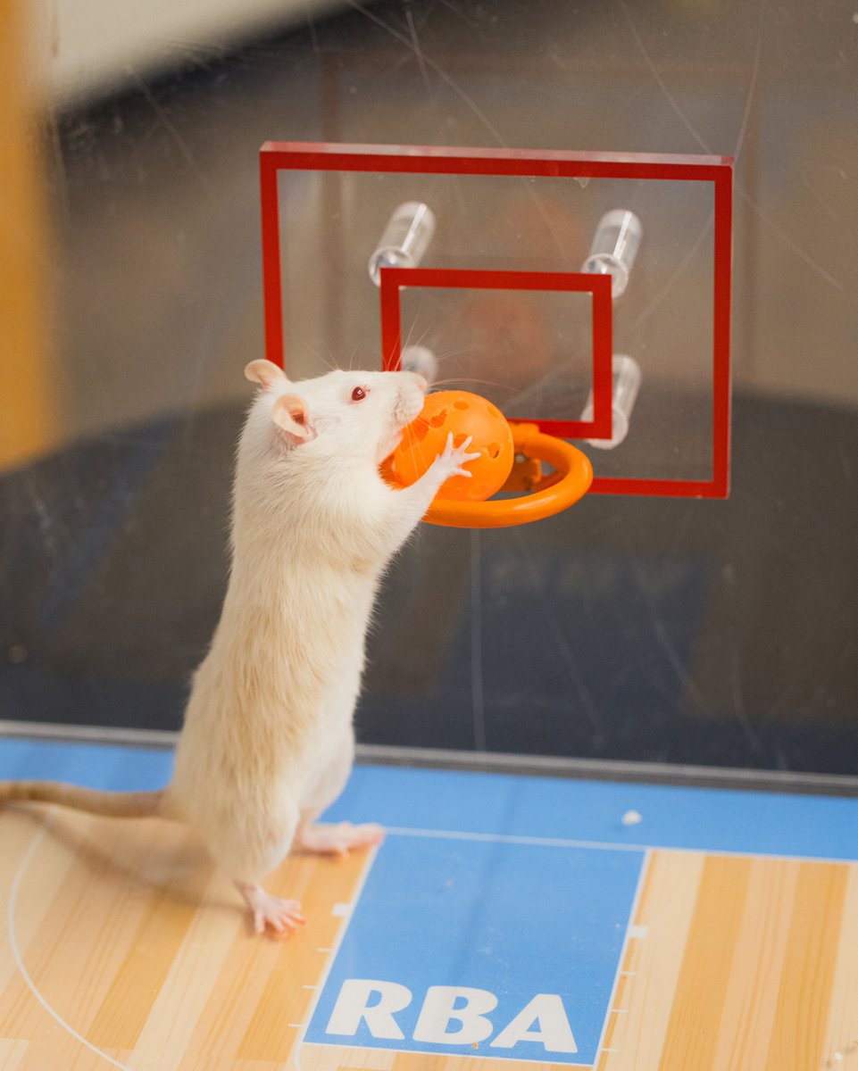 Science Museum of Virginia tweet media