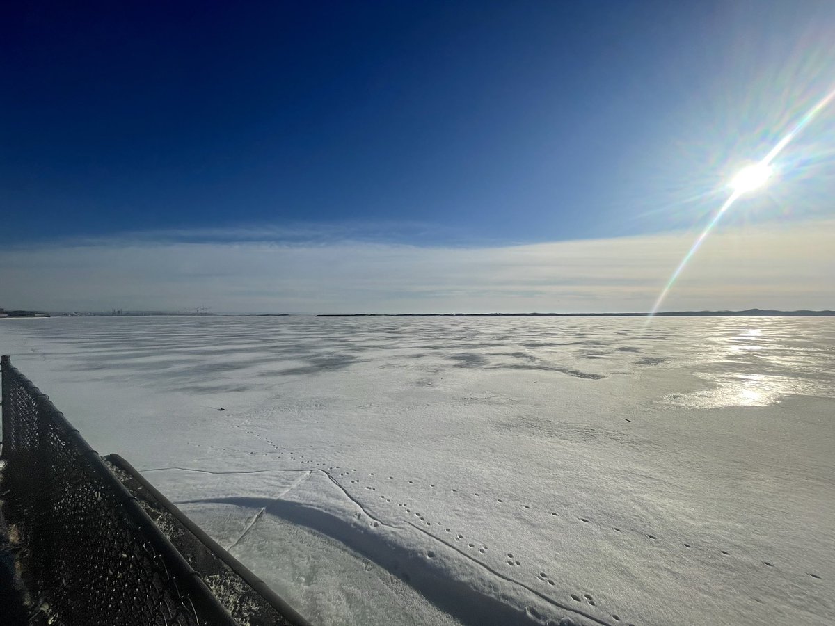 Tim Wenger tweet media