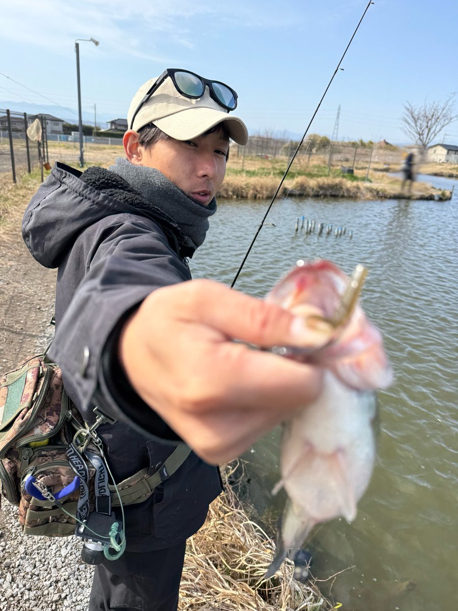 kokori45ko's tweet photo. ミラージュスティックII 2.4inch
ダウンショットにて爆釣のA氏✨
お腹パンパンな個体も多数✨
#BRGD
#Professor https://t.co/ELZzBpHlTD