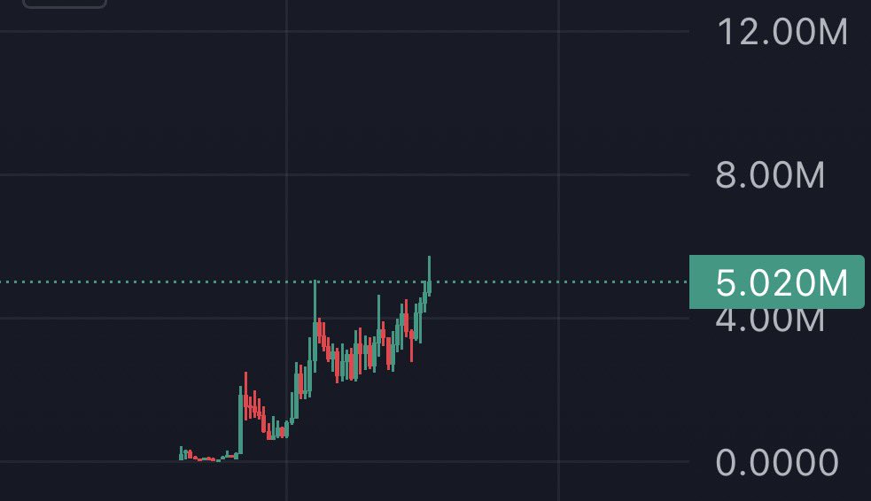 Little Mustacho 🐕 tweet media