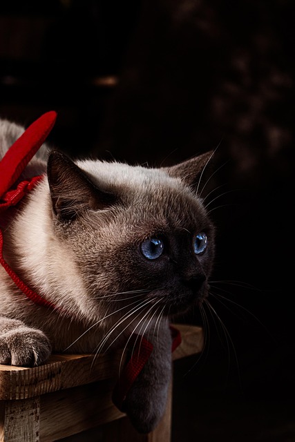 Beth Harris tweet media