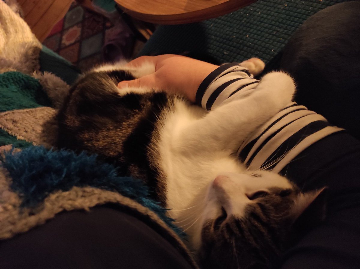 Rockkitties tweet media