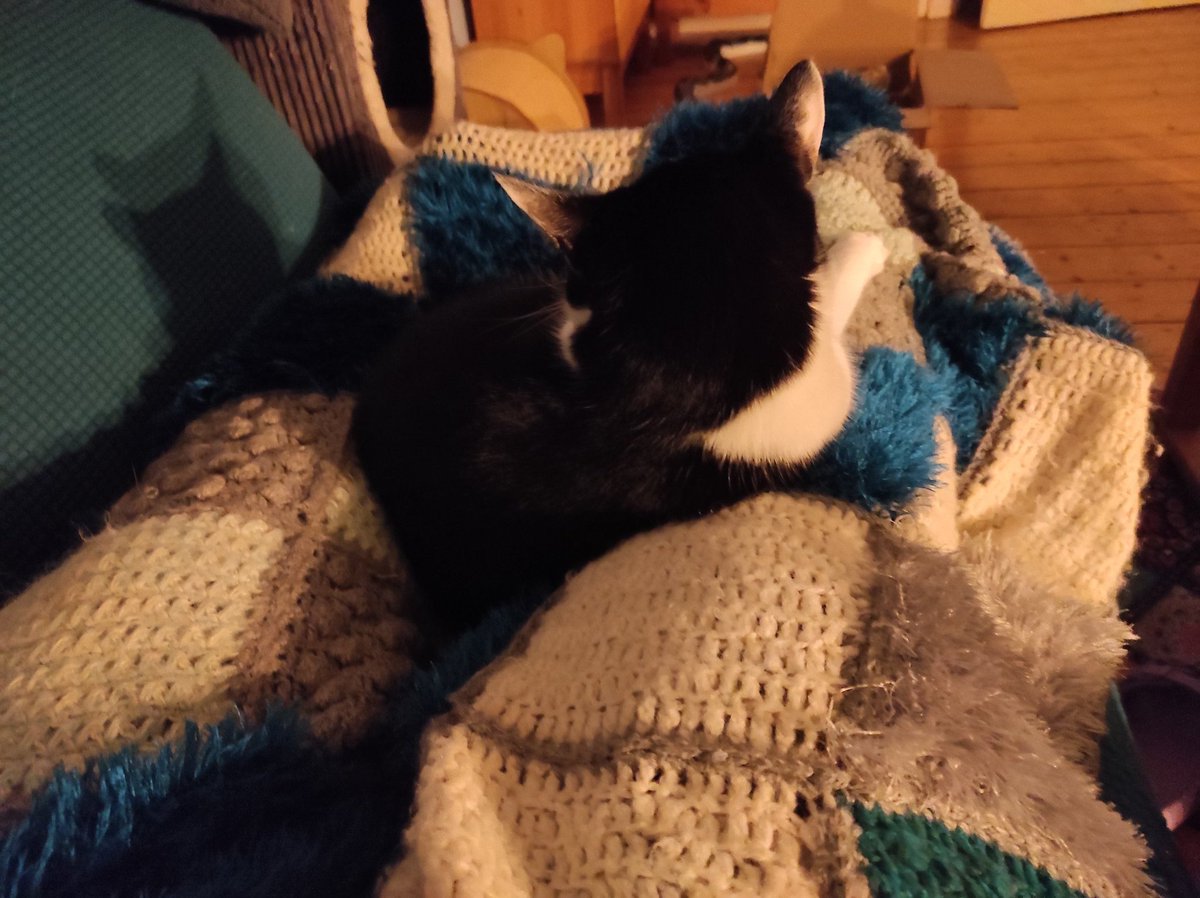 Rockkitties tweet media