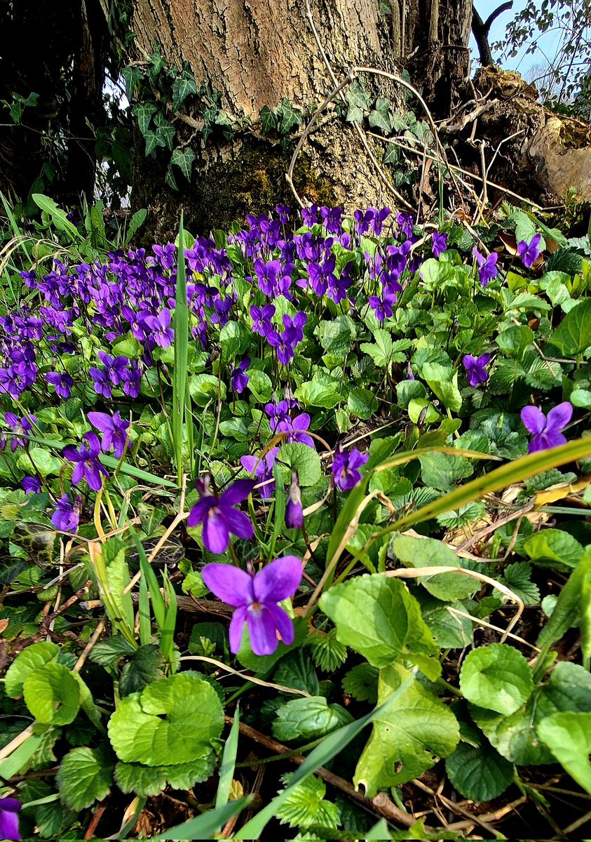 faustina gilbey tweet media