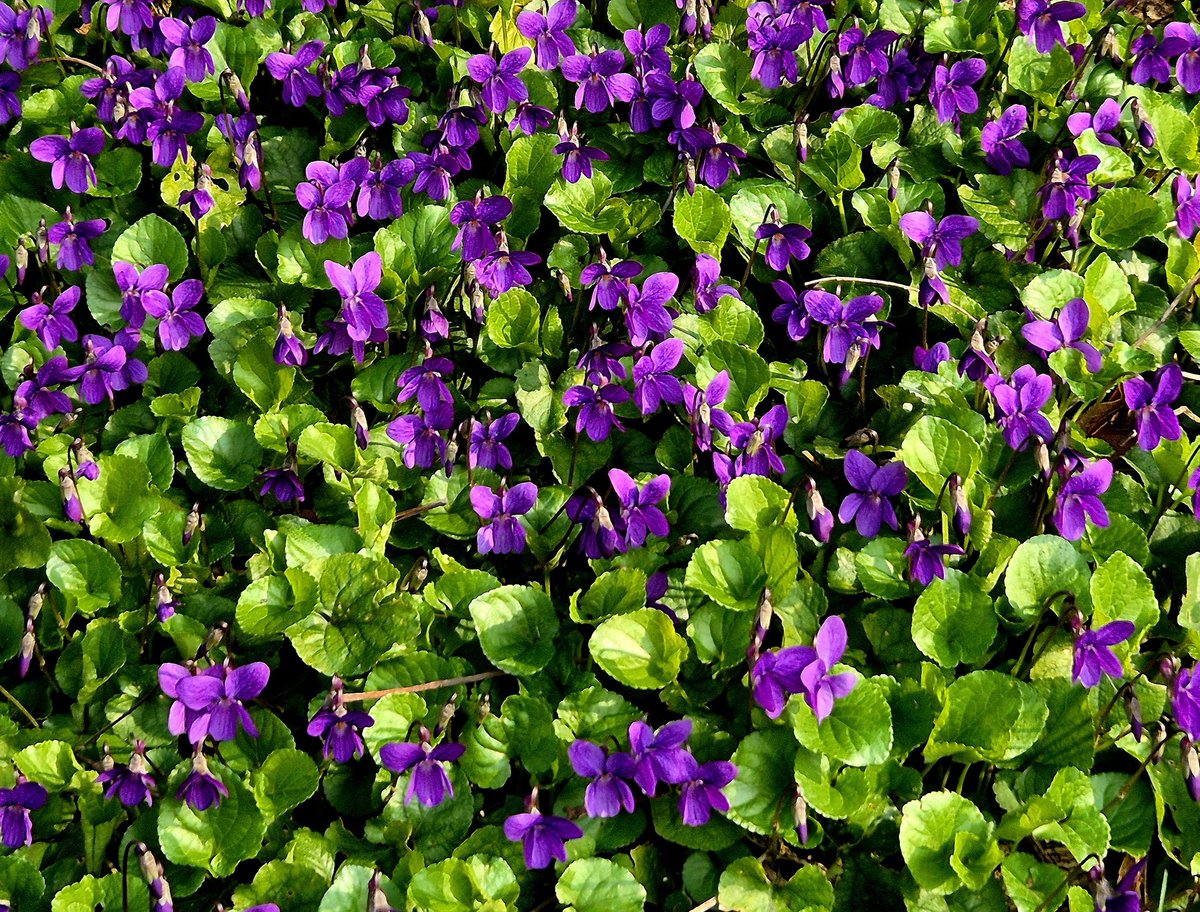 faustina gilbey tweet media