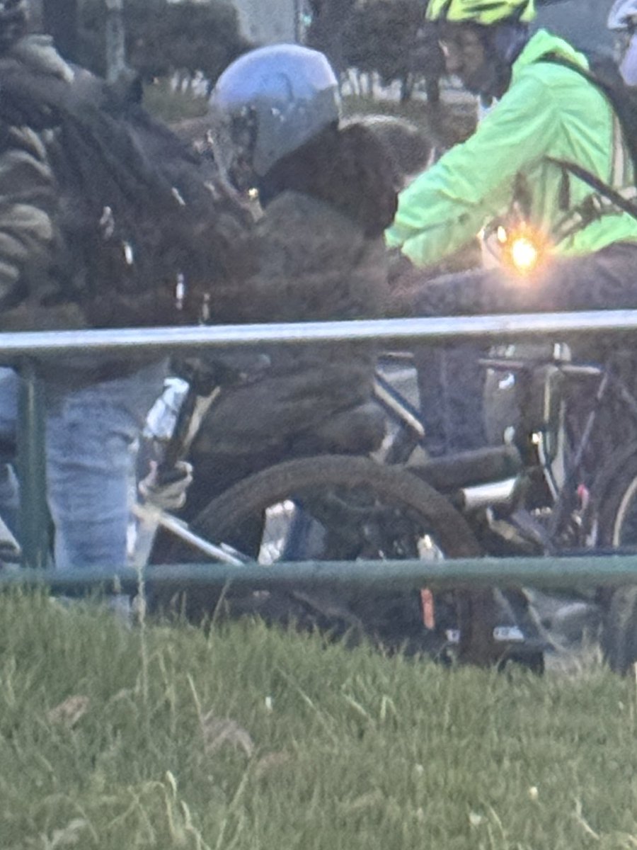 Alejandra tweet media