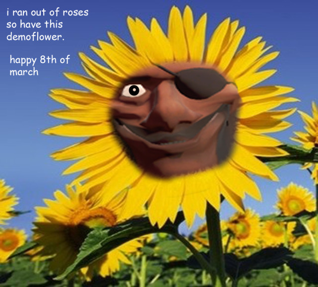 Demoman Daily tweet media