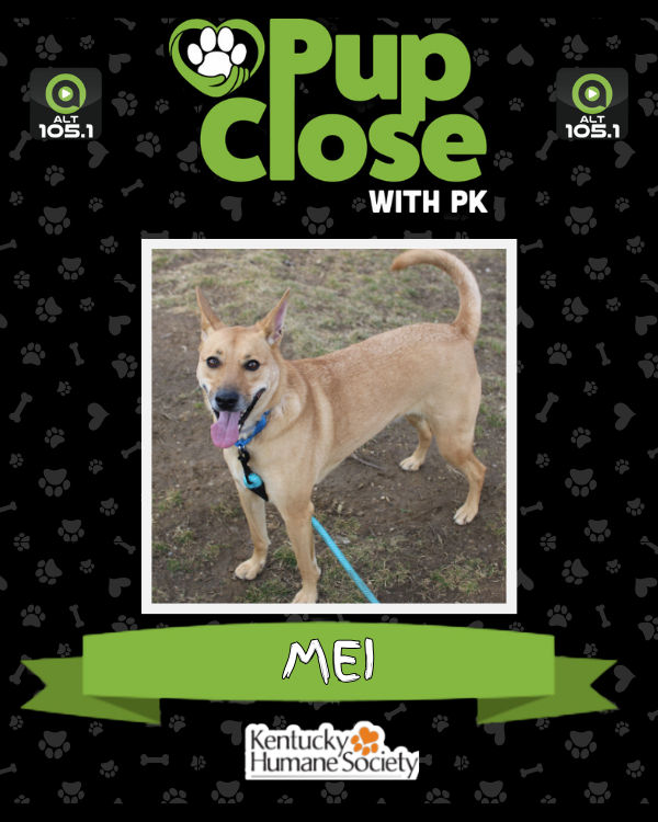 ALT 105.1 📻 tweet media