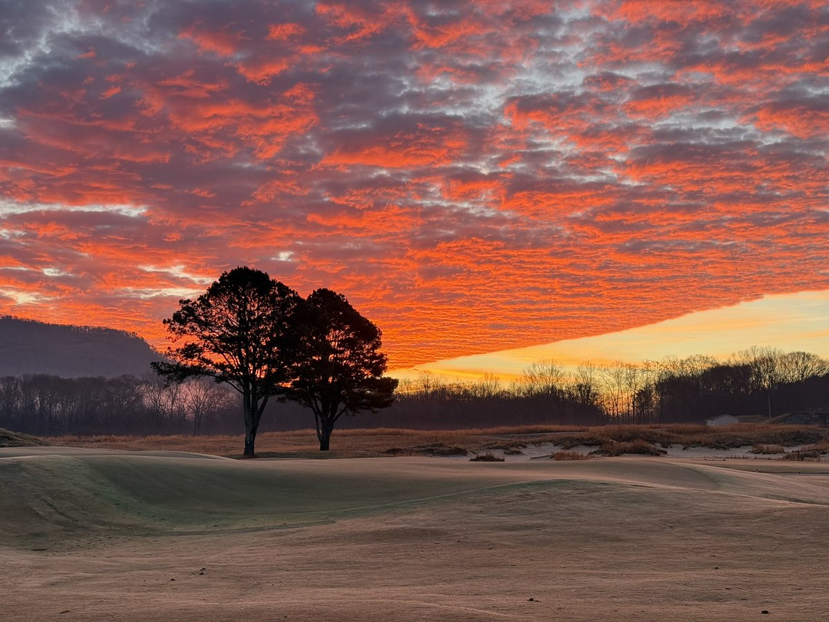 SweetensCoveAgro tweet media