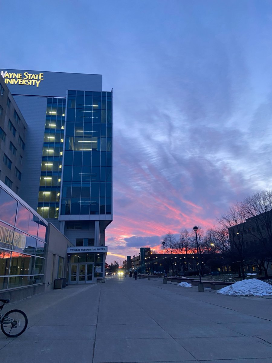 Wayne State University tweet media