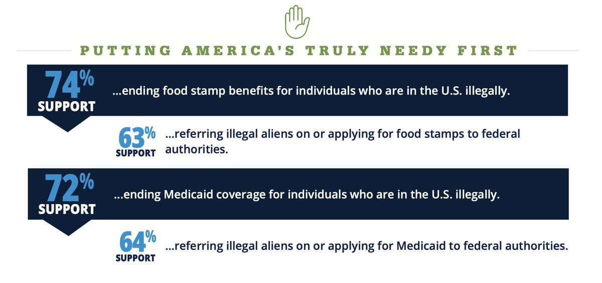 FGA Action tweet media