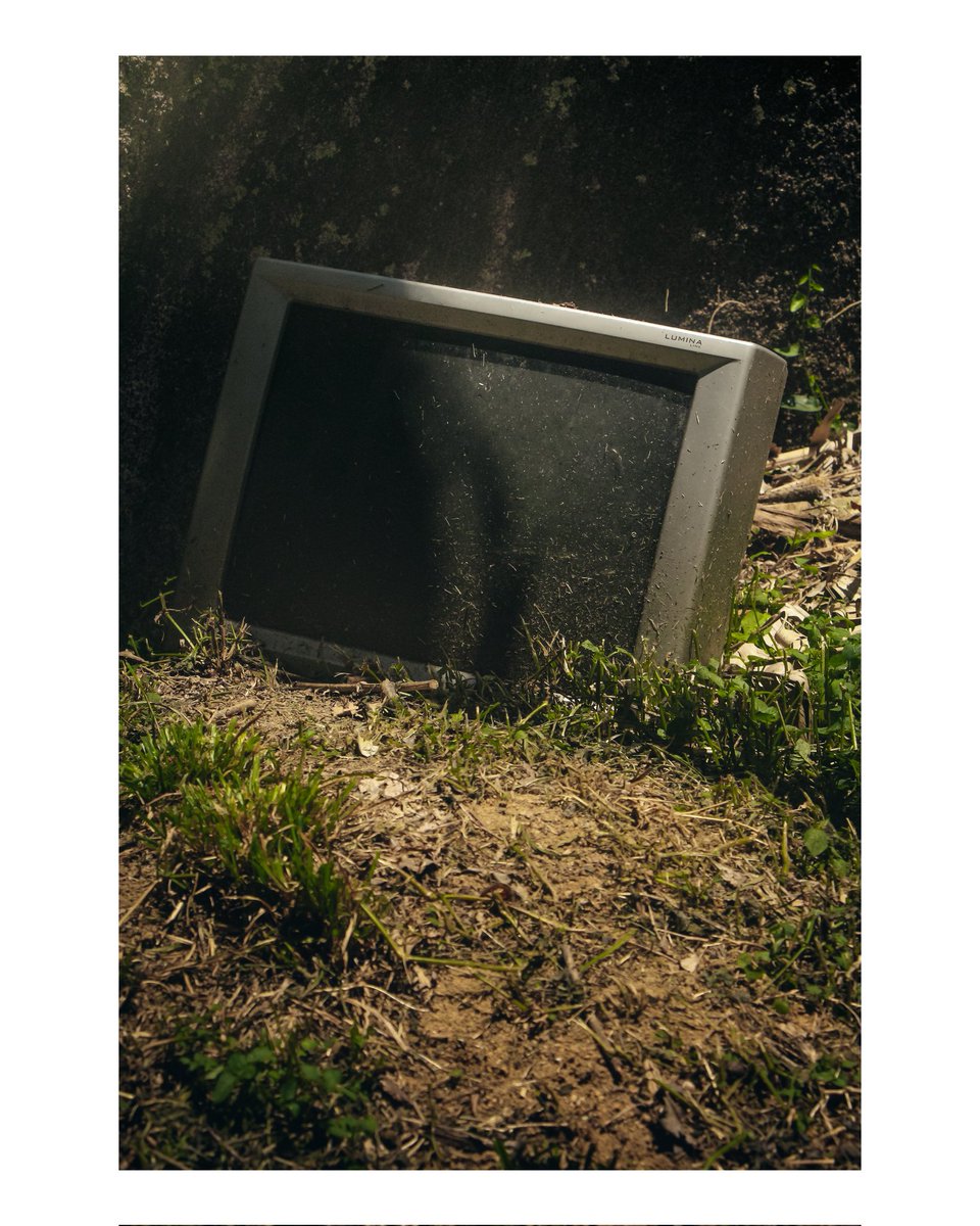 pedromoreirahn's tweet photo. visita rápida 🟢
📸Canon SL3
.
.
.
.
.
#photography #fotografia #naturephotography #green #riodejaneiro
                 https://t.co/deGEVuQstG https://t.co/jfb016oGzs