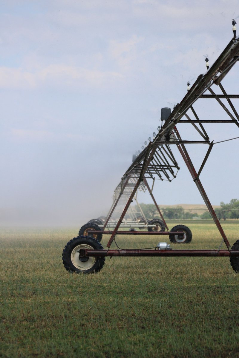 UNL Center for Ag Profitability tweet media
