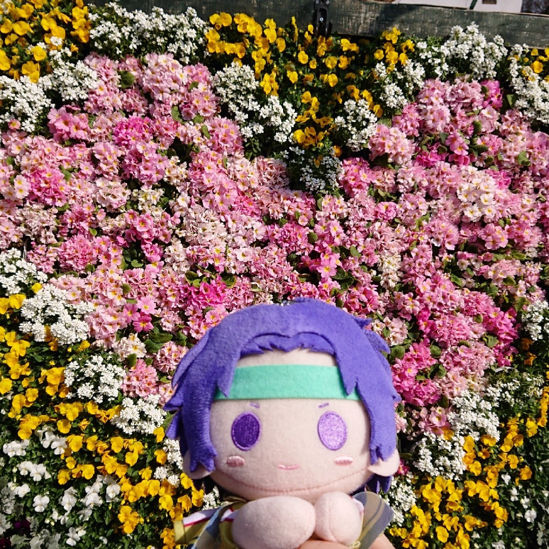 MagicMazeForest's tweet photo. 幸村くんお誕生日おめでとう🥳
ずっと大好きだよ〜🥰 https://t.co/IWMVO32Dse