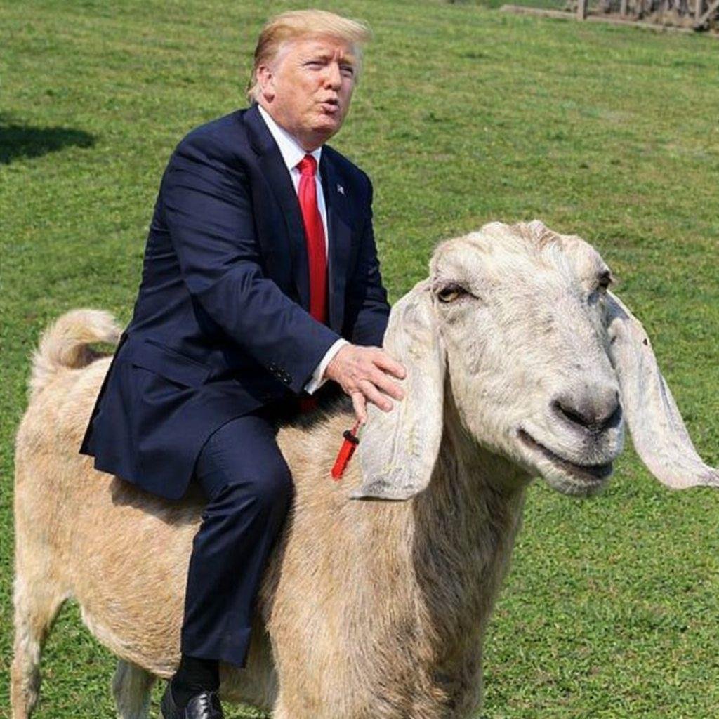 Bro Teddy tweet media