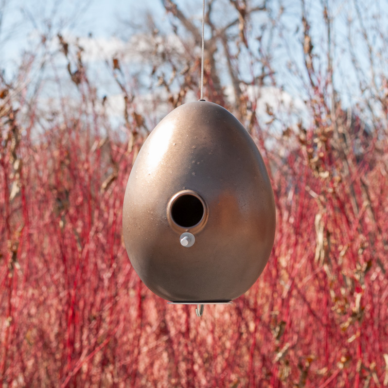 jschatzstudio's tweet photo. The Birds Return — A New Season Begins - https://t.co/rHub5tHcV5 https://t.co/CQjeel4cdc