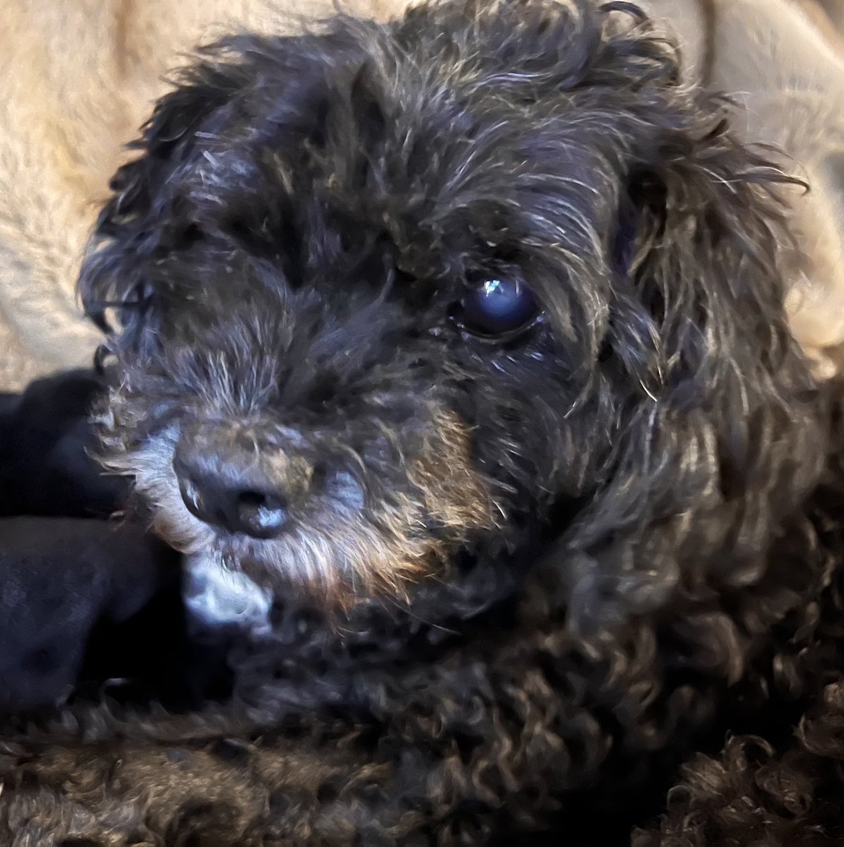 pele in hospital
good thoughts appreciated