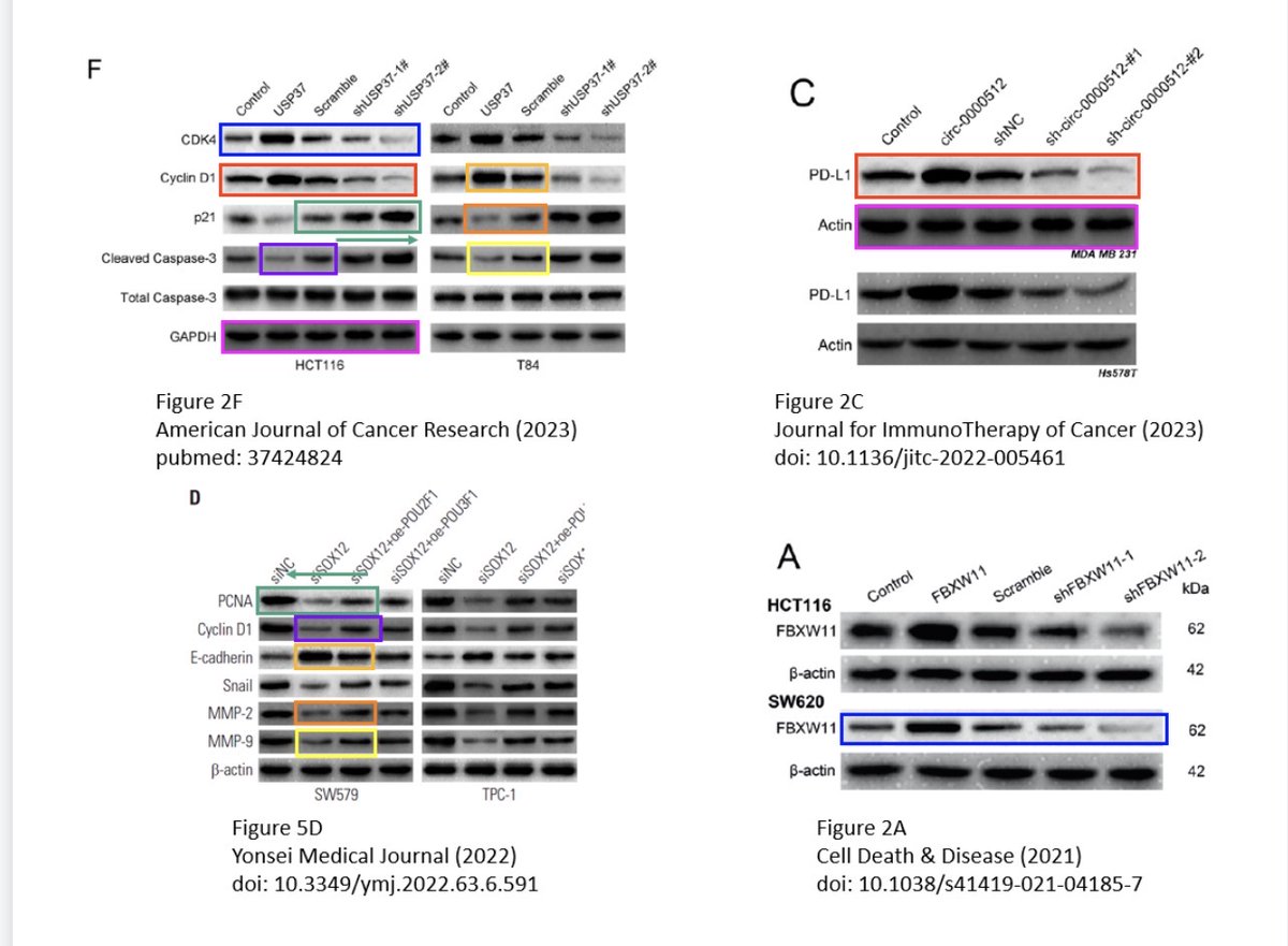 Cheshire tweet media