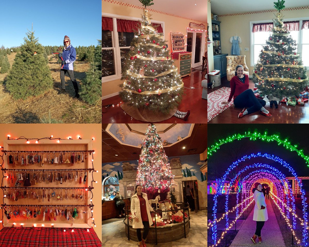 The Fearless Foreigner tweet media